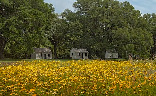 Enslaved cabins at McLeod Plantation Historic Site in South Carolina