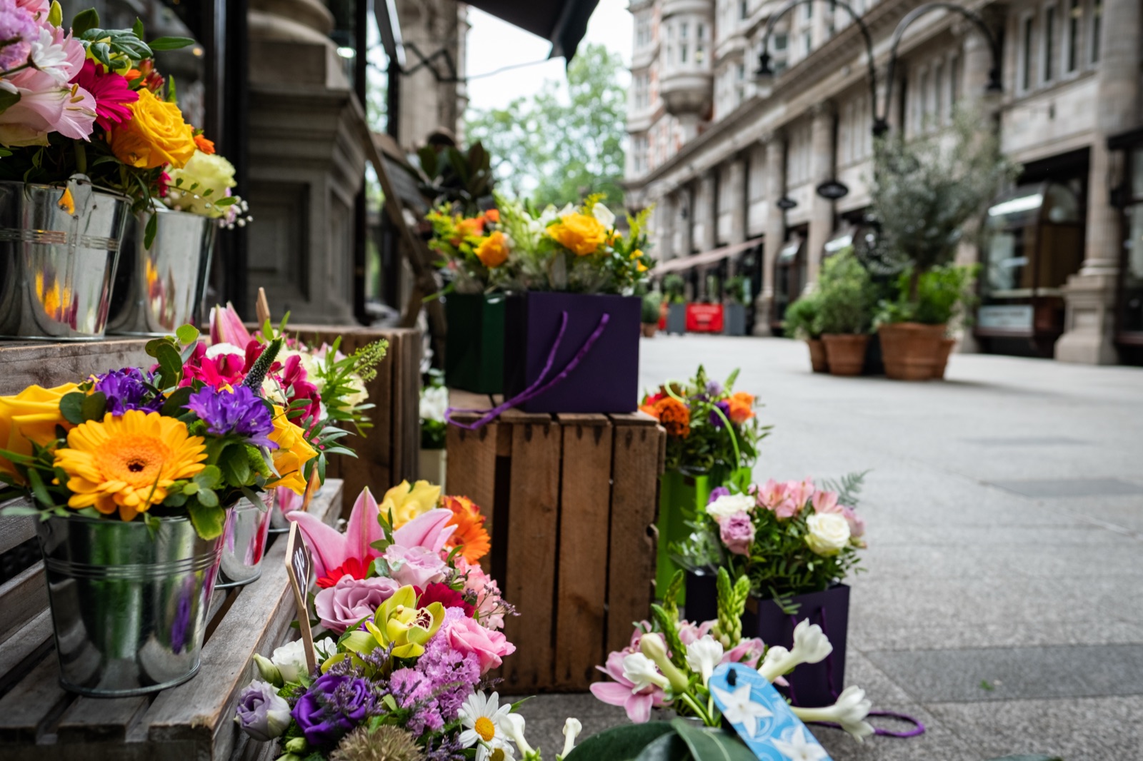 Buckets of cut flowers outside a florist on a quiet pedestrian street in Bloomsbury